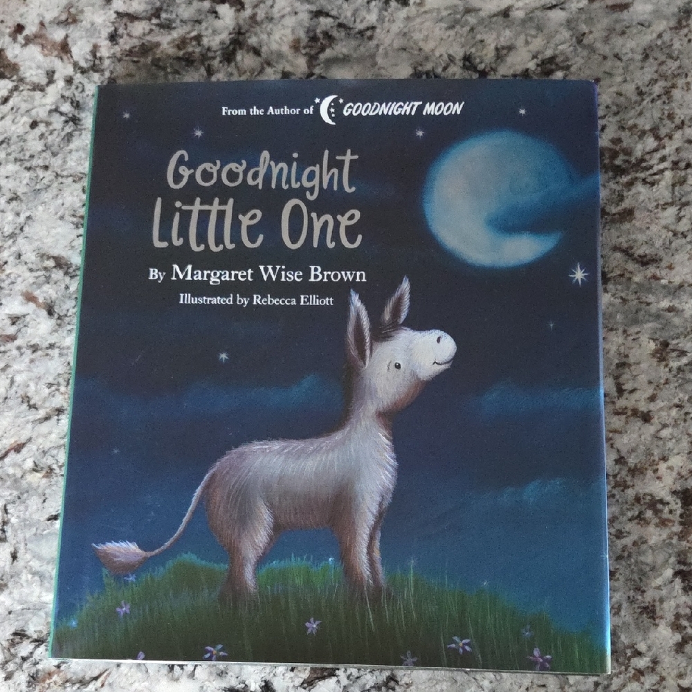 Goodnight Little One Children's Book